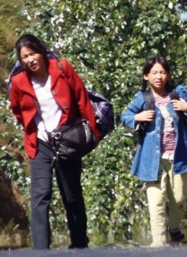 日本伊人精品一区二区三区